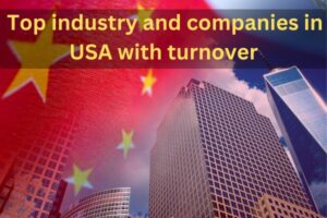 Top industry and companies in USA with turnover